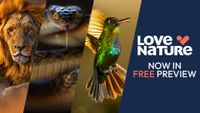 LoveNature_FreePreview.jpg