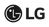 VP_LG_logo.png